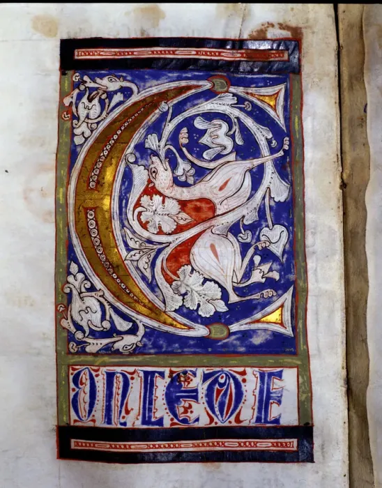 Framed Print : Drop cap C illuminated with a quadruped and floral motifs in the Sacramentary Framed Print : Drop cap C illuminated with a quadruped and floral motifs in the Sacramentary