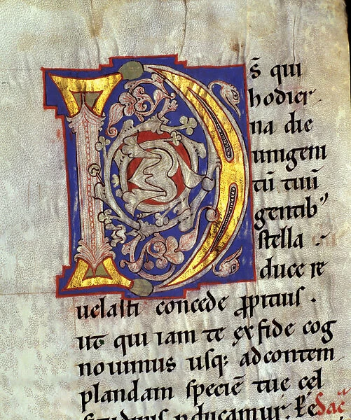 Drop cap D illuminated with heads of birds and vegetables interlacing in the Sacramentary
