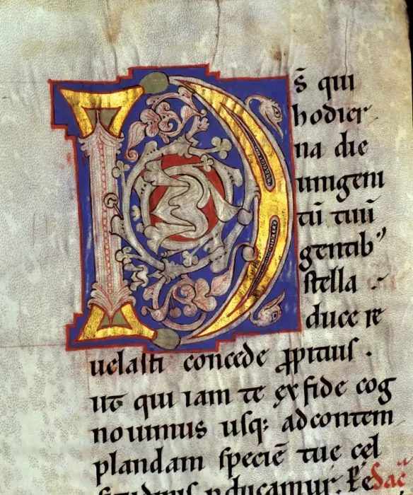 Framed Print : Drop cap D illuminated with heads of birds and vegetables interlacing in the Sacramentary Framed Print : Drop cap D illuminated with heads of birds and vegetables interlacing in the Sacramentary