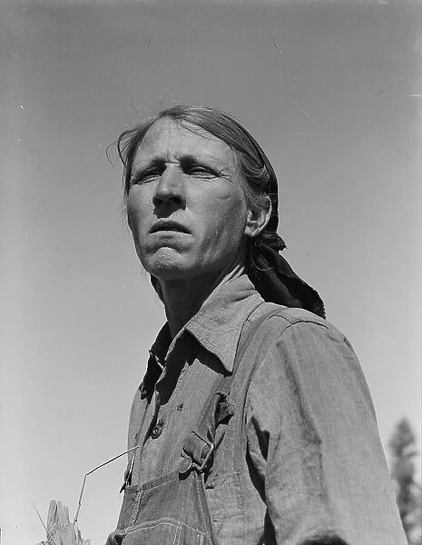 Drought refugee from Oklahoma in California, 1937. Creator: Dorothea Lange