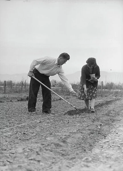 Drought refugees from Colorado, outskirts of San Bernardino, California. 1935. Creator: Dorothea Lange