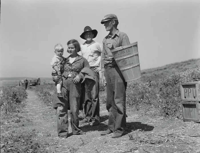 Framed Print : Drought refugees from Oklahoma at work in the pea fields near Nipomo, California, 1937. Creator: Dorothea Lange Framed Print : Drought refugees from Oklahoma at work in the pea fields near Nipomo, California, 1937. Creator: Dorothea Lange