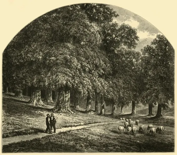 Framed Print : Druid-Hill Park, 1874. Creator: John Filmer Framed Print : Druid-Hill Park, 1874. Creator: John Filmer