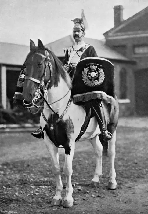 Framed Print : The drum horse of the 17th Lancers, 1896. Artist: Gregory & Co Framed Print : The drum horse of the 17th Lancers, 1896. Artist: Gregory & Co