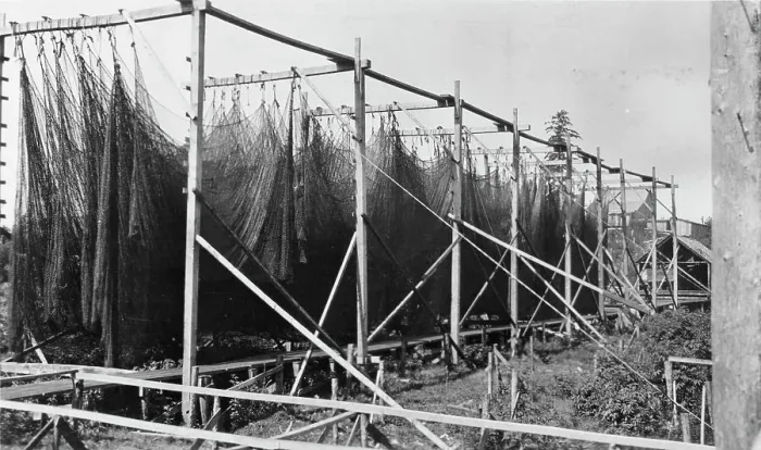 Framed Print : Drying nets, between c1900 and c1930. Creator: Unknown Framed Print : Drying nets, between c1900 and c1930. Creator: Unknown