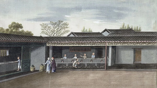Drying tea leaves, China, 19th century