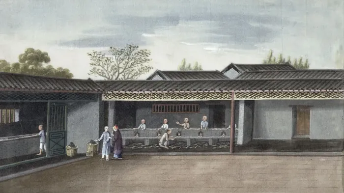 Framed Print : Drying tea leaves, China, 19th century Framed Print : Drying tea leaves, China, 19th century