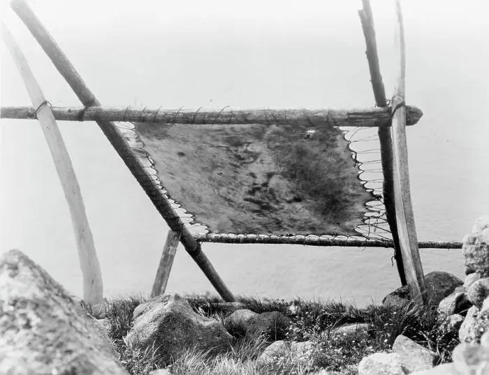 Framed Print : Drying walrus hide, Diomede, Alaska, c1929. Creator: Edward Sheriff Curtis Framed Print : Drying walrus hide, Diomede, Alaska, c1929. Creator: Edward Sheriff Curtis