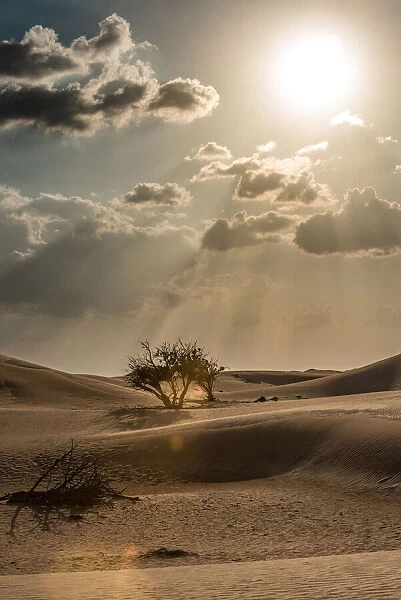 Dubai Desert. Creator: Viet Chu