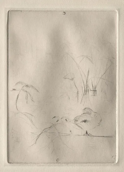 Framed Print : The Duck, 1888-90. Creator: Berthe Morisot (French, 1841-1895) Framed Print : The Duck, 1888-90. Creator: Berthe Morisot (French, 1841-1895)