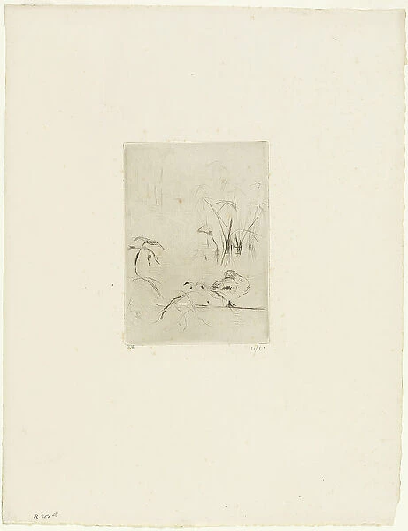 The Duck, 1889. Creator: Berthe Morisot
