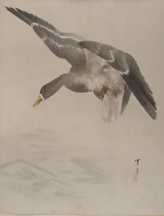 Framed Print : Duck, ca. 1887. Creator: Watanabe Seitei Framed Print : Duck, ca. 1887. Creator: Watanabe Seitei