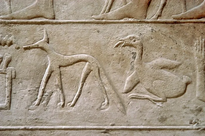 Framed Print : Duck and jackal, Hieroglyphic characters, Mastaba of Kagemni, Saqqara, Egypt, 2350 BC (2003). Creator: Unknown Framed Print : Duck and jackal, Hieroglyphic characters, Mastaba of Kagemni, Saqqara, Egypt, 2350 BC (2003). Creator: Unknown