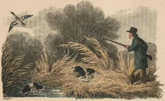 Framed Print : Duck Shooting, 1810. Creator: Samuel Howitt Framed Print : Duck Shooting, 1810. Creator: Samuel Howitt