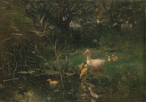 Ducklings, c.1880-c.1907. Creator: Willem Maris