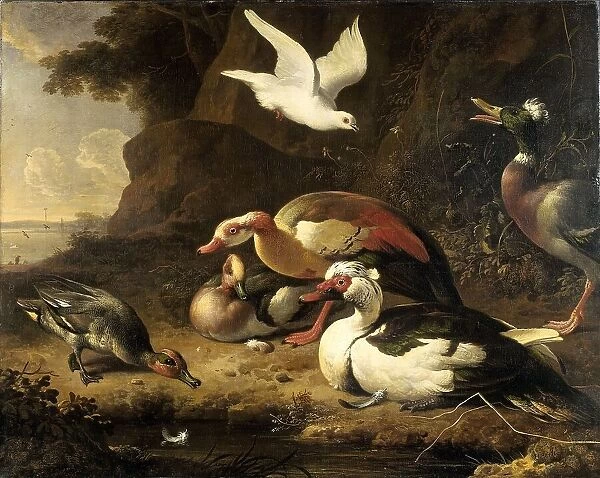 Ducks, c.1675-c.1680. Creator: Melchior d'Hondecoeter