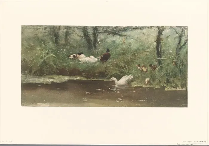 Framed Print : Ducks on canal bank, 1844-1910. Creator: Willem Maris Framed Print : Ducks on canal bank, 1844-1910. Creator: Willem Maris