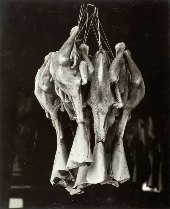 Framed Print : Ducks, Chinatown, Printed 1936. Creator: Lewis Wickes Hine Framed Print : Ducks, Chinatown, Printed 1936. Creator: Lewis Wickes Hine
