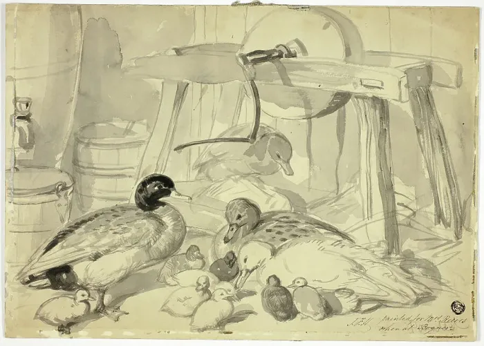 Framed Print : Ducks, Ducklings and Grindstone, n.d. Creator: John Frederick Hering Framed Print : Ducks, Ducklings and Grindstone, n.d. Creator: John Frederick Hering