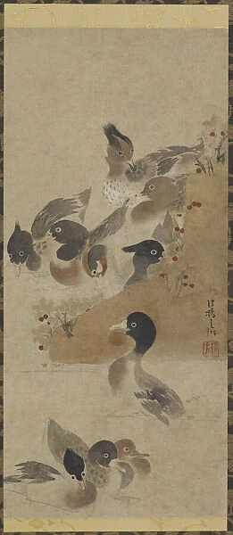 Ducks, Edo period, (18th century?). Creator: Unknown