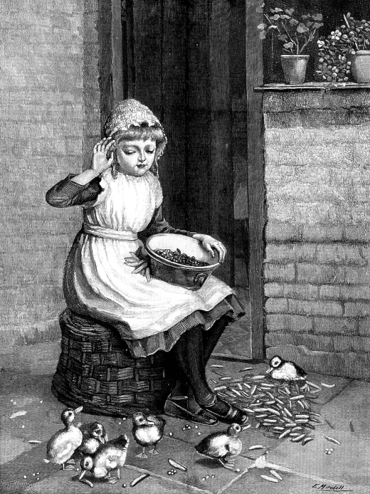 Framed Print : 'Ducks and Green Peas' - by Miss E. Mitchell, 1890. Creator: R. Taylor Framed Print : 'Ducks and Green Peas' - by Miss E. Mitchell, 1890. Creator: R. Taylor
