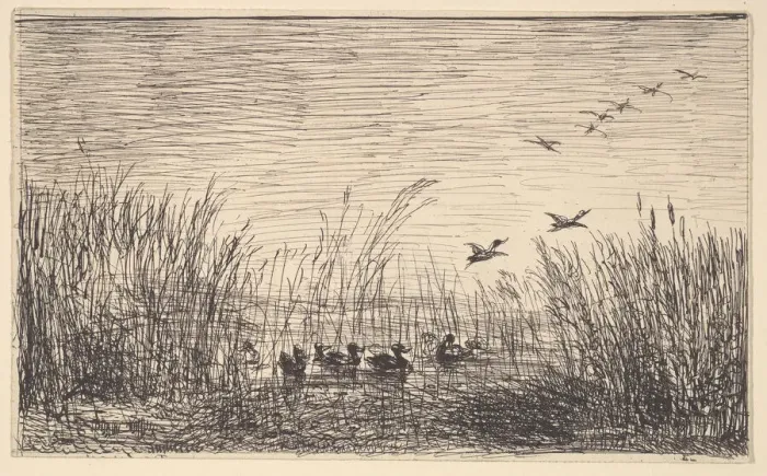 Framed Print : Ducks in the Marshes, [1862], reprinted 1921. Creator: Charles Francois Daubigny