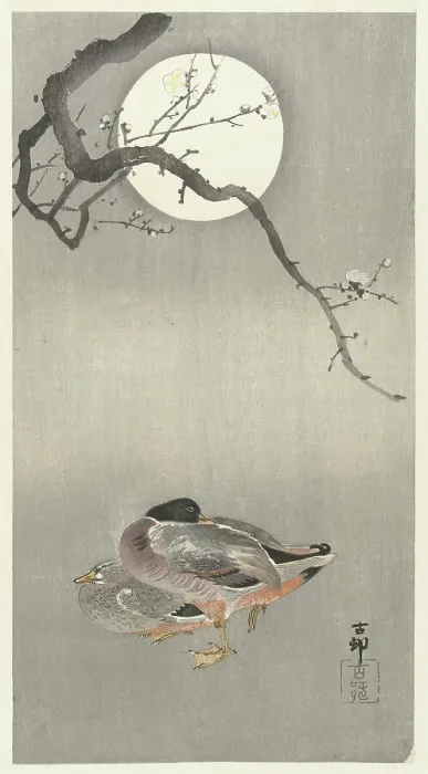 Framed Print : Ducks at full moon. Creator: Ohara, Koson (1877-1945) Framed Print : Ducks at full moon. Creator: Ohara, Koson (1877-1945)