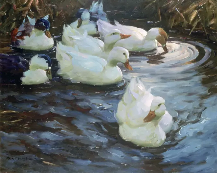 Framed Print : Ducks on a Pond, c1884-1932. Artist: Alexander Koester Framed Print : Ducks on a Pond, c1884-1932. Artist: Alexander Koester