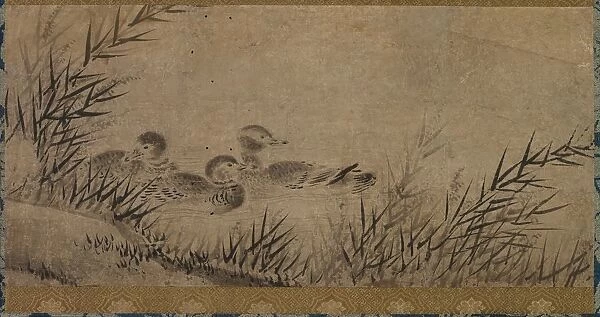Ducks and Reeds, 17th century. Creator: Unknown
