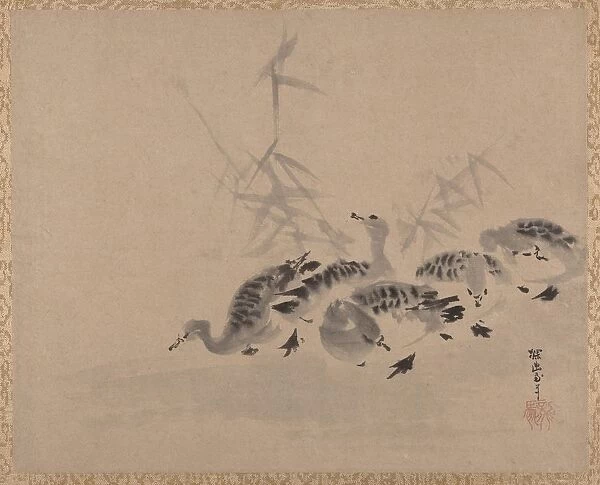 Ducks and Reeds, ca. 1650. Creator: Kano Tan yû