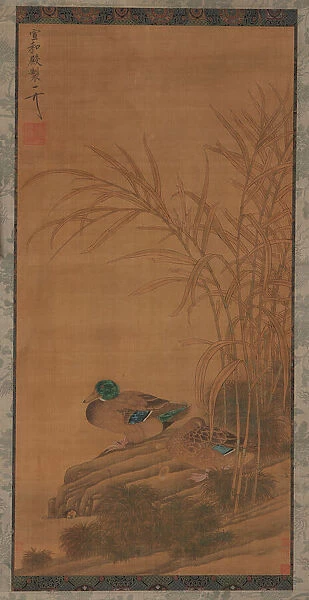 Two ducks among reeds at the waters edge, Ming or Qing dynasty, 15th-18th century