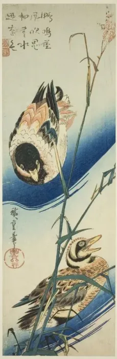 Framed Print : Two Ducks Swimming Among Reeds, c. 1834 / 39. Creator: Ando Hiroshige Framed Print : Two Ducks Swimming Among Reeds, c. 1834 / 39. Creator: Ando Hiroshige