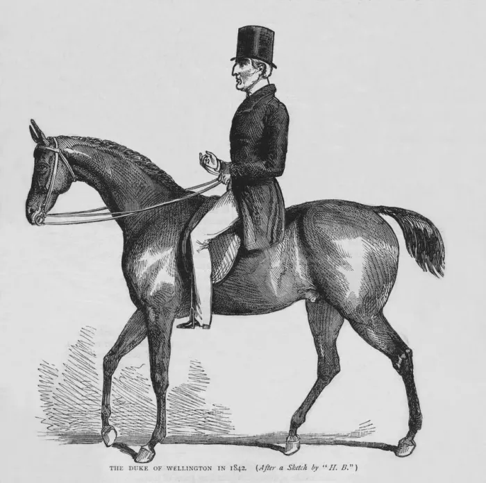 Framed Print : The Duke of Wellington, c1842 (1878) Framed Print : The Duke of Wellington, c1842 (1878)