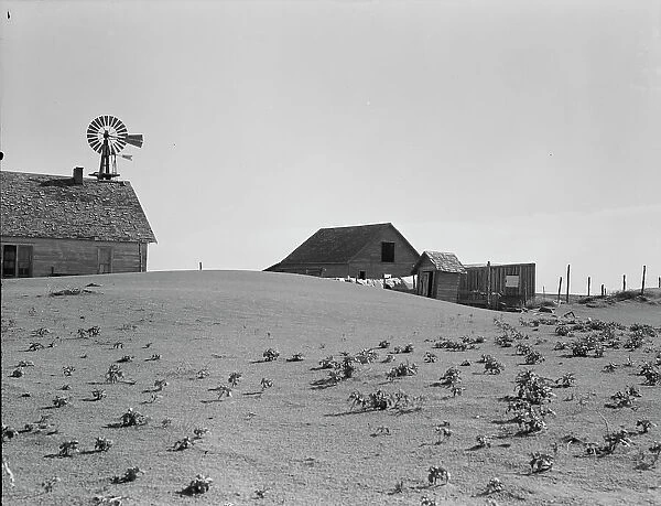 Dust Bowl farm, Coldwater District, near Dalhart, Texas, 1938. Creator: Dorothea Lange