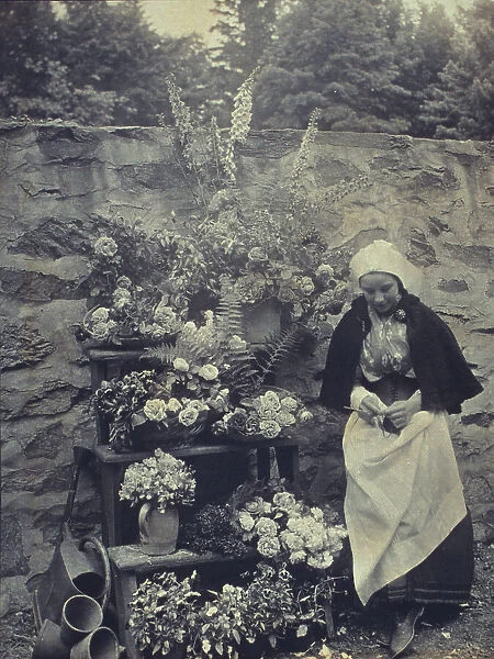 Dutch flower seller, c1900. Creator: Unknown
