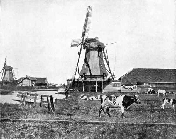 Dutch windmills, Holland, late 19th century. Artist: John L Stoddard