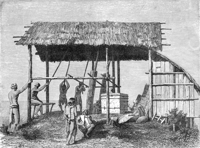 Framed Print : Dyaks Building a House; A Visit to Borneo, 1875. Creator: A. M. Cameron Framed Print : Dyaks Building a House; A Visit to Borneo, 1875. Creator: A. M. Cameron
