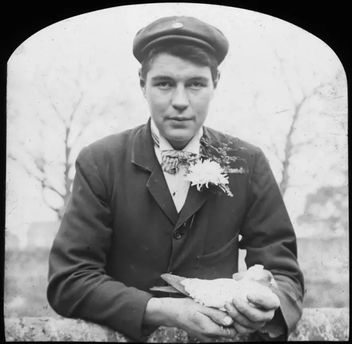 Framed Print : E Hack holding a pigeon, late 19th or early 20th century Framed Print : E Hack holding a pigeon, late 19th or early 20th century