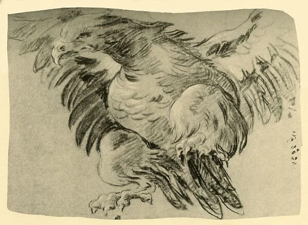 Eagle, 1751-1752, (1928). Artist: Giovanni Battista Tiepolo