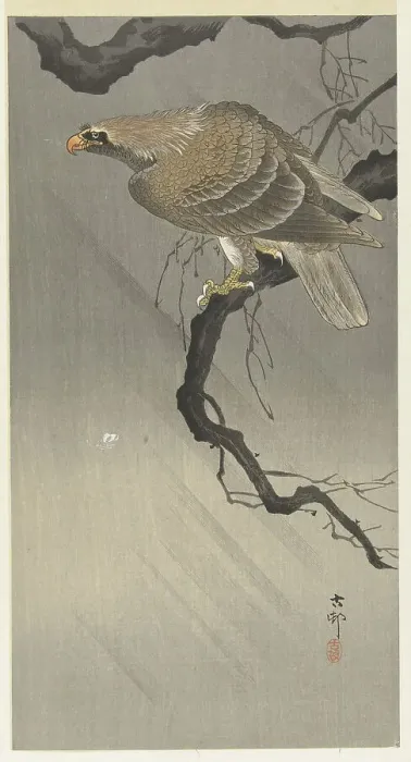 Framed Print : Eagle on branch, 1900-1910. Creator: Ohara, Koson (1877-1945) Framed Print : Eagle on branch, 1900-1910. Creator: Ohara, Koson (1877-1945)