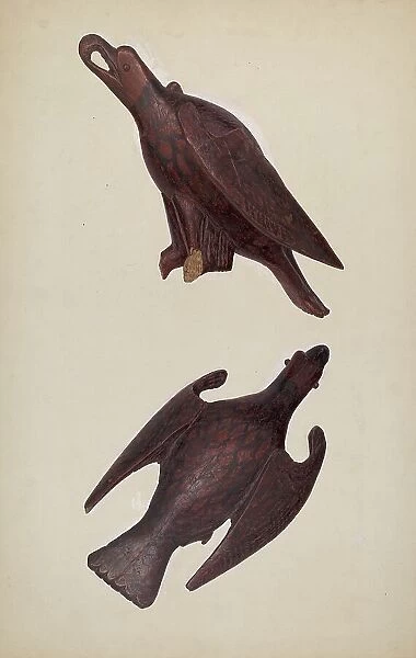 Eagle, c. 1940. Creator: John Collins