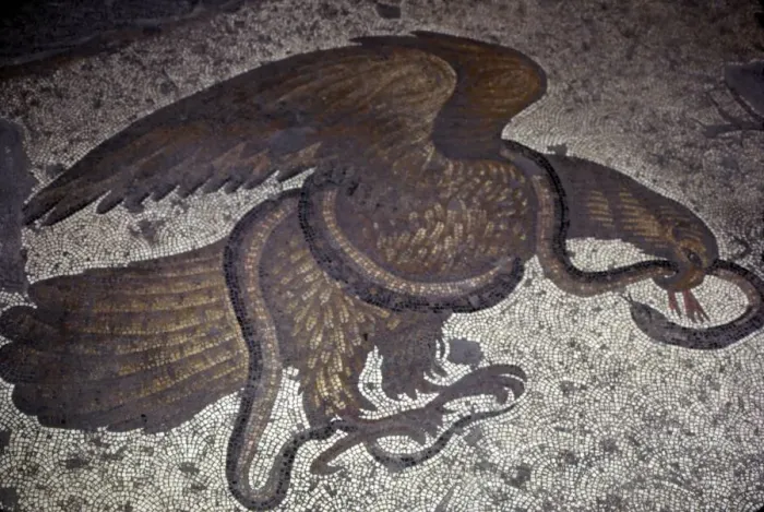 Framed Print : Eagle fights a snake, detail of Byzantine Floor Mosaic at Great Palace, Istanbul, 6th century Framed Print : Eagle fights a snake, detail of Byzantine Floor Mosaic at Great Palace, Istanbul, 6th century