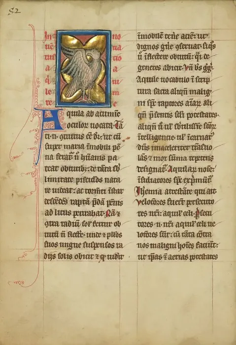 Framed Print : An Eagle; De Natura Avium; De Pastoribus et Ovibus, 1277 or after. Creator: Unknown Framed Print : An Eagle; De Natura Avium; De Pastoribus et Ovibus, 1277 or after. Creator: Unknown