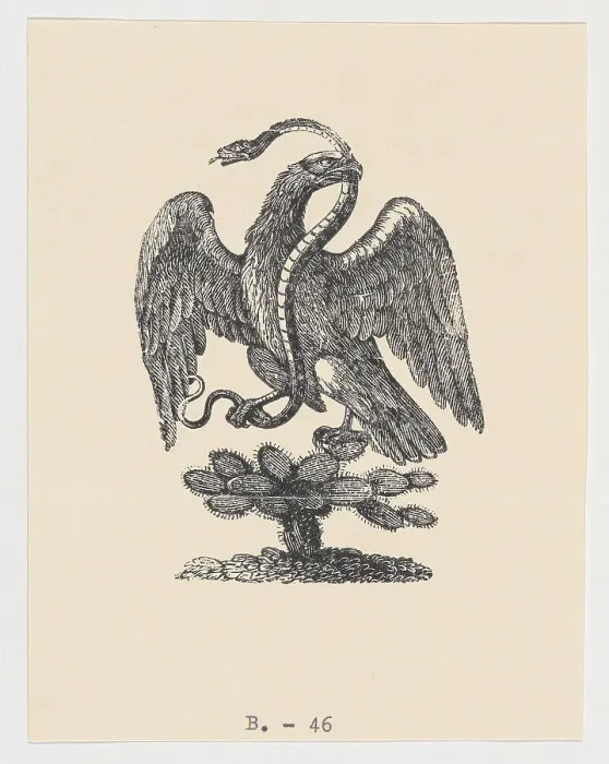 Framed Print : An eagle resting on a cactus holding a snake in its beak (from the Mexican coat of... ca 1900-1910. Creators: Anon, José Guadalupe Posada) Framed Print : An eagle resting on a cactus holding a snake in its beak (from the Mexican coat of... ca 1900-1910. Creators: Anon, José Guadalupe Posada)