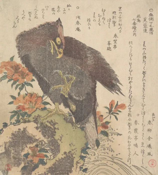 Framed Print : Eagle on a Rock; Flowering Azaleas, ca. 1800. Creator: Kubo Shunman Framed Print : Eagle on a Rock; Flowering Azaleas, ca. 1800. Creator: Kubo Shunman
