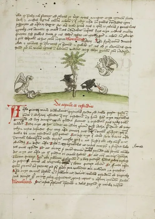 Framed Print : An Eagle Seizing a Snail: A Crow Pecking at a Snail; Fables, third quarter of 15th century. Creator: Unknown Framed Print : An Eagle Seizing a Snail: A Crow Pecking at a Snail; Fables, third quarter of 15th century. Creator: Unknown