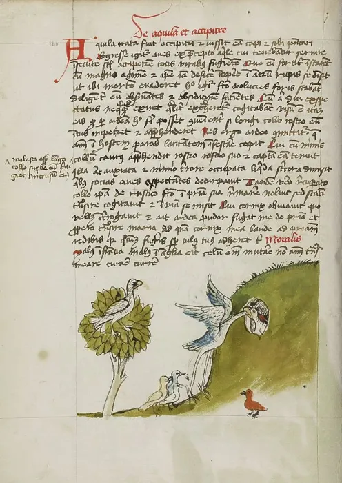 Framed Print : An Eagle Sitting in a Tree, a Stork with its Neck in a Hole... third quarter of 15th century. Creator: Unknown Framed Print : An Eagle Sitting in a Tree, a Stork with its Neck in a Hole... third quarter of 15th century. Creator: Unknown