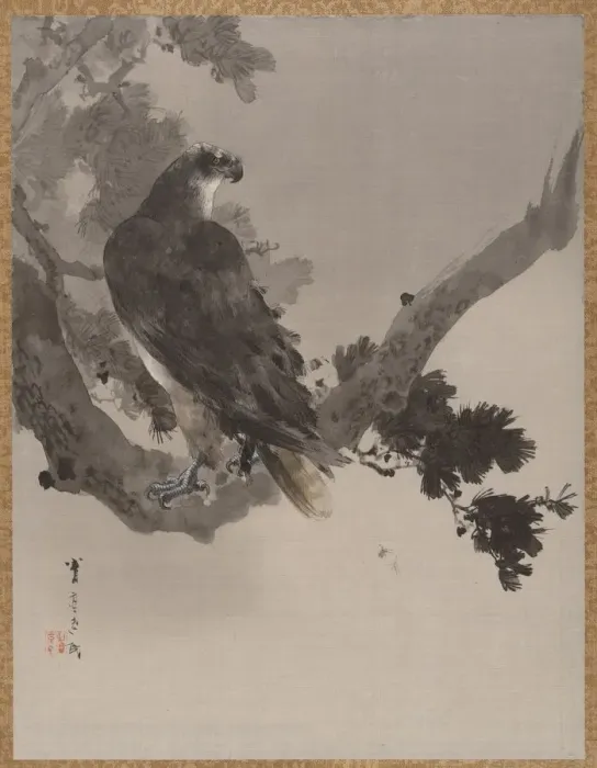 Framed Print : Eagle in a Tree, ca. 1887. Creator: Watanabe Seitei Framed Print : Eagle in a Tree, ca. 1887. Creator: Watanabe Seitei