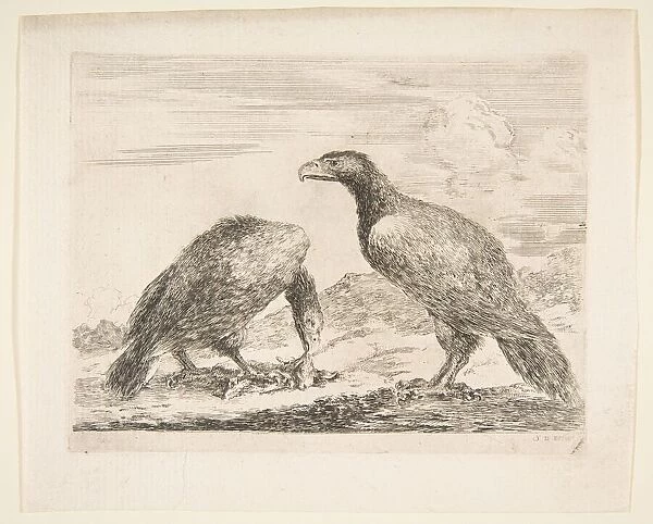 Two eagles, one devouring a lamb, from Eagles (Les aigles), ca. 1651