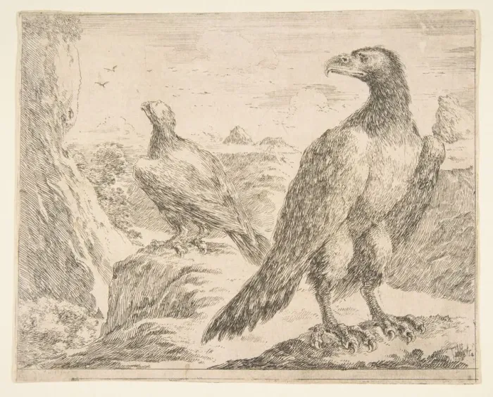 Framed Print : Two eagles, from Eagles (Les aigles), ca. 1651. Creator: Stefano della Bella Framed Print : Two eagles, from Eagles (Les aigles), ca. 1651. Creator: Stefano della Bella